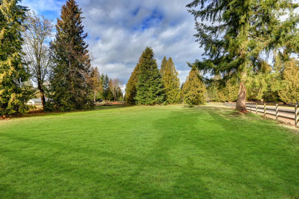 Buying Land
