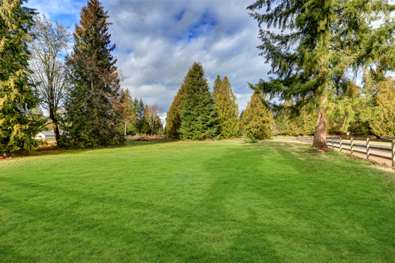 Buying Land Buying Land